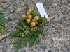 Peach Hypericum Berries & Foliage