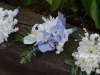 Whimsical Blue