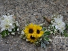 Yellow daisy mums & white cushion mums