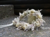 bohemian-rhapsody-crown