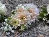 Pin Style With Champagne Cushion Mums