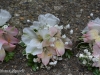 Blush pink & white pin style corsages with alstroemeria