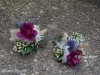 vivacious charm