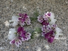 Pretty In Plum