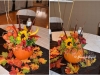 Autumn Splendor ~ In Pumpkins
