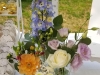 garden-party-delight