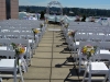 Lemon & Lavender ~ Aisle Markers