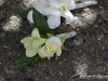 Orchid & Spray Rose ~ Ring Bearer Boutonniere
