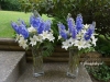 Delphinium Waltz ~ for alter or aisle entry