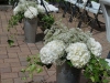 Hydrangea with babys breath & ivy ~ for aisle entry or alter