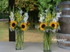 September Sunshine In Large Vases ~ For alter or aisle entry