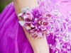 Fuchsia pink orchids