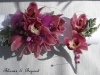 Fuchsia pink orchids