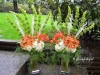 Spring Fling In Tangerine