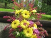 Butterfly Garden