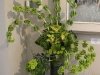 Glorious Green ~ Monochromatic Design