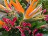 Tropical Punch ~ Details