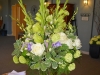 Spring Garden Tribute