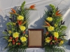 Tropical Tributes