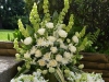 In Loving Memory