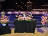 Vibrant Beauty Tributes