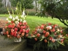 Warm Sentiments