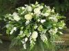 Winter White