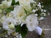 August Whimsy