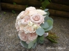 Desert Rose