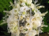 White Princess ~ Details