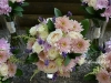 Blushing Beauty ~ Bridal Suite