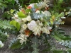 Lush & Lovely