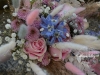 Pastel Persuasion ~ Details
