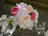 Peony Passion