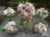 Pink Chiffon ~ Bridal Suite
