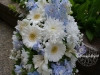 Whimsical Blue