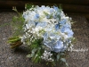 Blue Mist