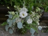 Natures Bounty
