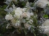 White Rhapsody ~ Bridal Suite