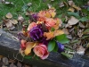 Autumns Desire