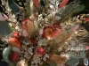 Coral In The Mist  ~ Dried/Preserved Floralsals