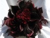 Ebony Wine