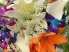 Tropical Cascade ~ Details