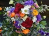 Spring Sensation